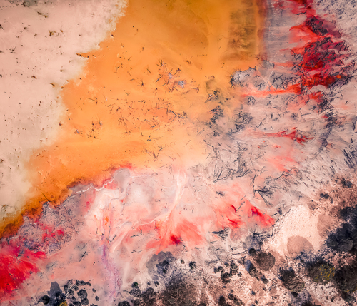 Bleeding Earth