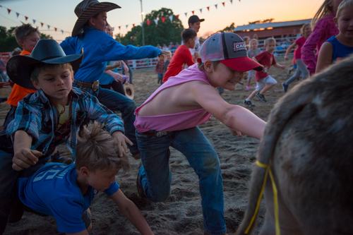 Rodeo Night