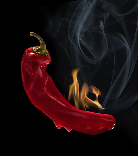 Hot Chili Pepper