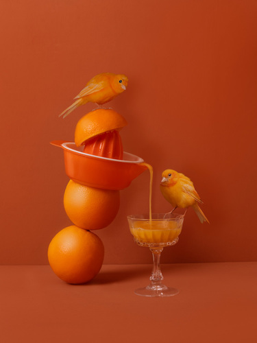 Orange Juicy