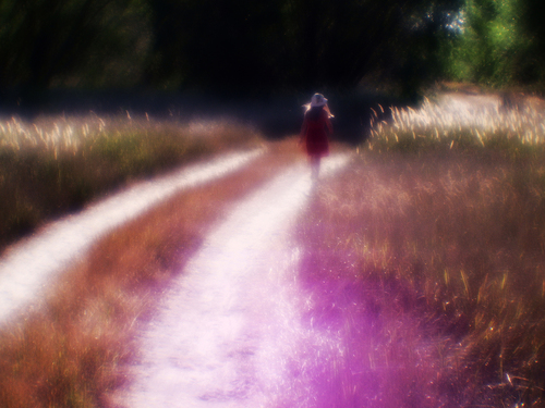 purple road