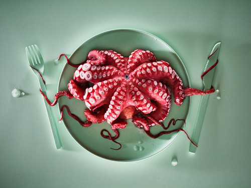 Red Octopus