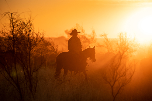 Drovers Sunrise