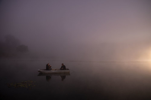 Fishing Fog
