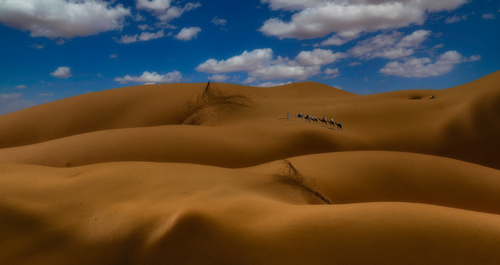 Oasis in the desert