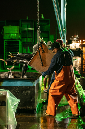 Tuna Boat, Port of Los Angeles