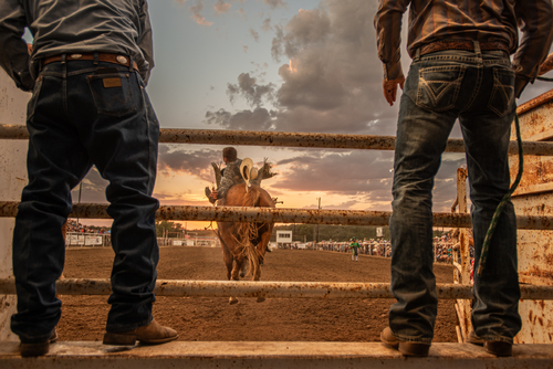 Bronc