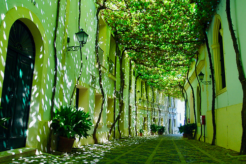 La siesta verde