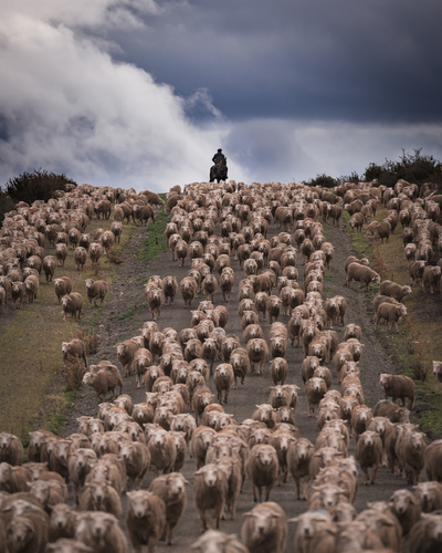The Man of Baguales