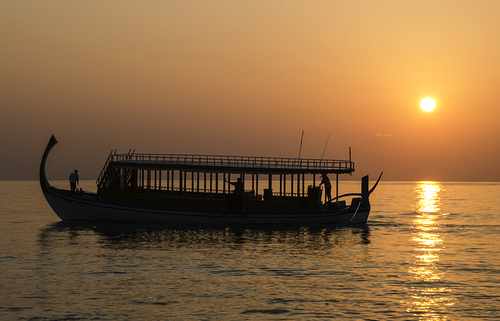 Dhoni Boat in the Morning Sun