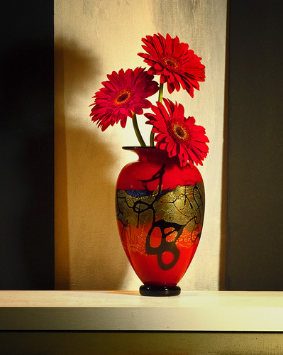 Red Daisies