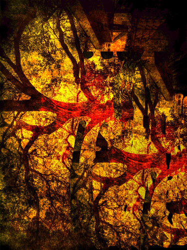 Abstract Woods