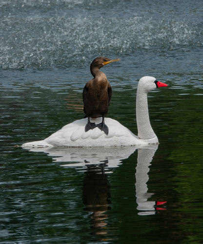 Hitchin' A Ride!