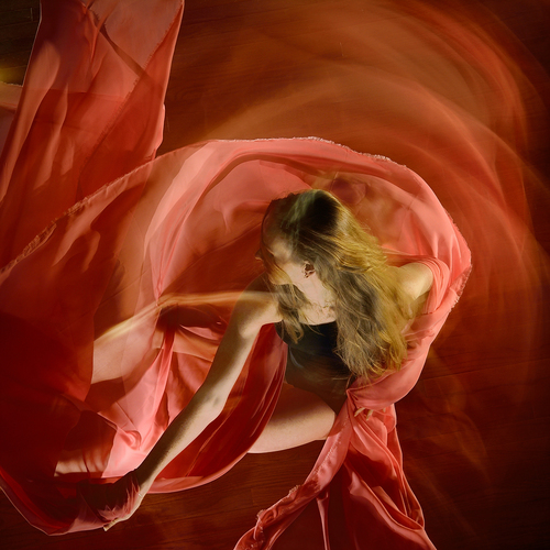 Imprint: The Rose