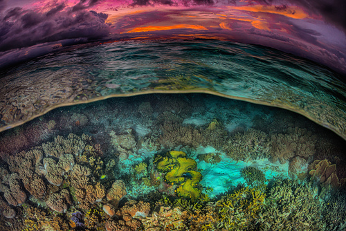 Tropical sunset