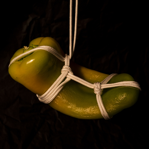 Poivron a l'Araki 3