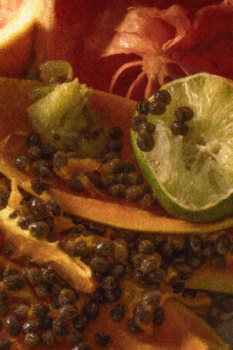 Seed, skin and rind