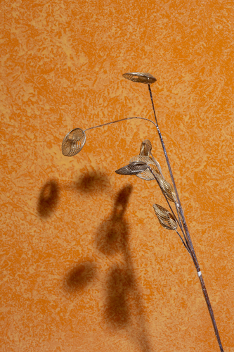 Modern Flowers with Shadow