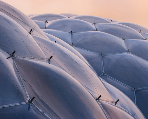 Biomes