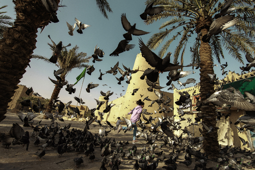 Arabian Little Birds