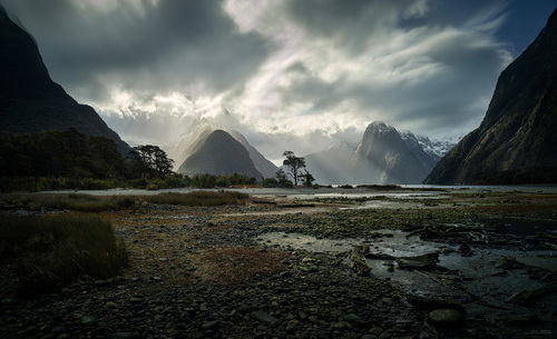 Piopiotahi