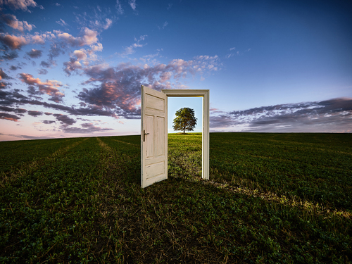 Door