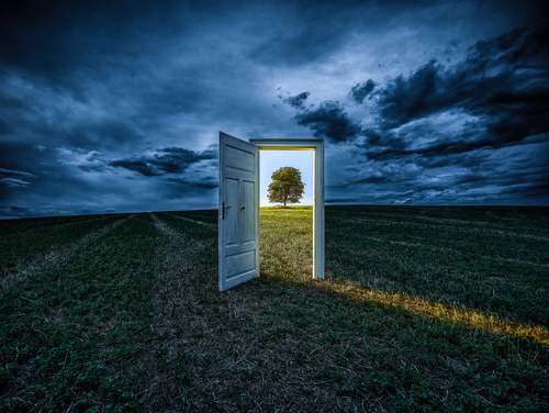 The door