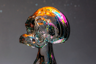 Color Awards Winners and Nominees