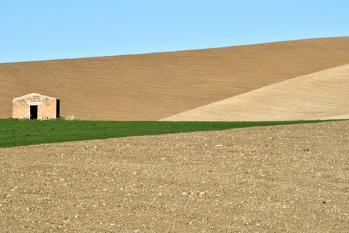 Agritecture #2