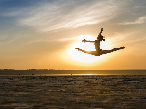 Sunset Flight
