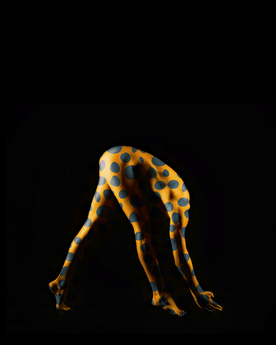 Spotted Walked