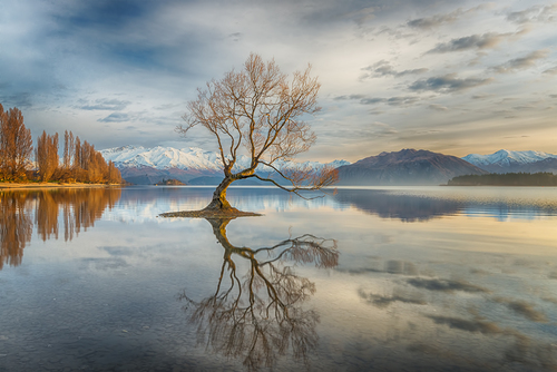 Morning Has Broken