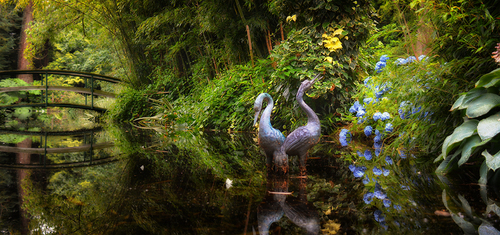 Natures Harmony