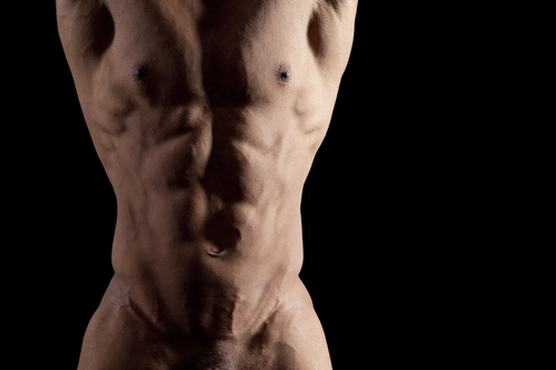 Torso