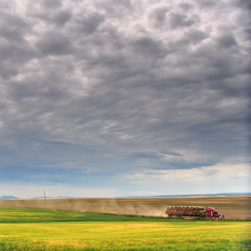 Montana