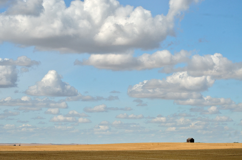 Prairie Feeling