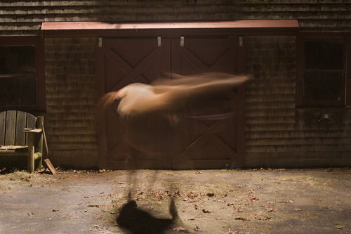 Ghost (1)