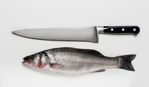 Fish Kill