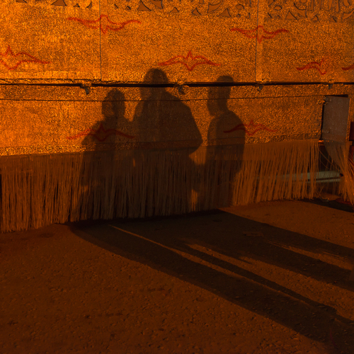 Shadows In The Night