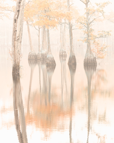 First Light