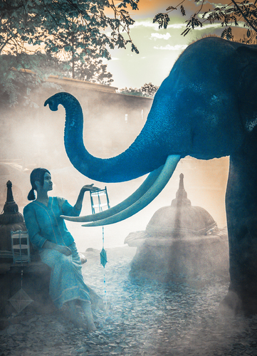 Elephant Dreams