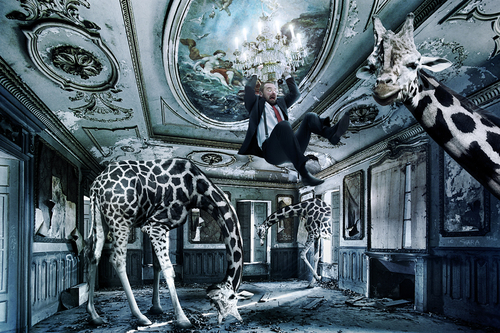 Giraffes Attack