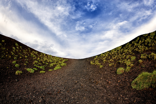 Earth and Sky