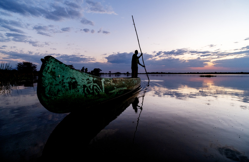 Malawi Safari