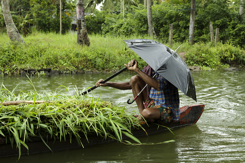 Life in the Backwaters of Kerala