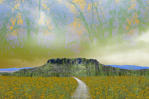Through the Flowers to Black Mesa