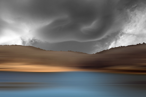 Lone Elk Dreaming