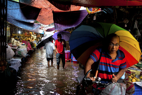 Water Logging