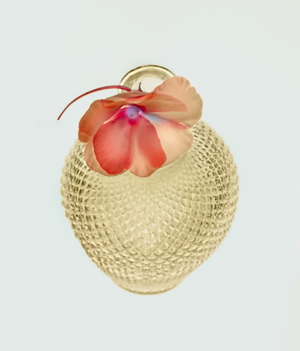 Flower in Decanter 1