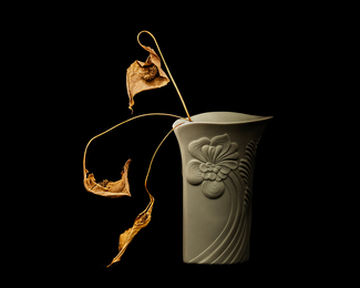 Color Awards Winners and Nominees
